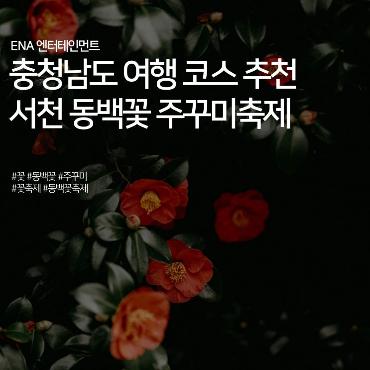  충청남도 여행 코스 추천 : 서천 동백꽃 주꾸미축제