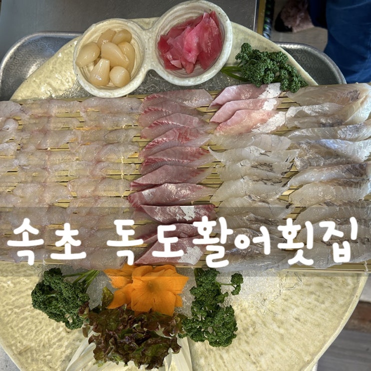 속초 회 맛집 독도활어횟집 ft. 파도소리