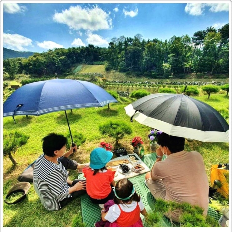  서울근교 수목장으로 좋은 점 3가지