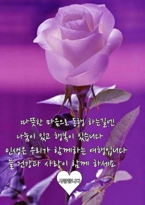 <b>임은정</b> <b>검사</b> <b>검사</b>적격 심사에 대한 탄원서