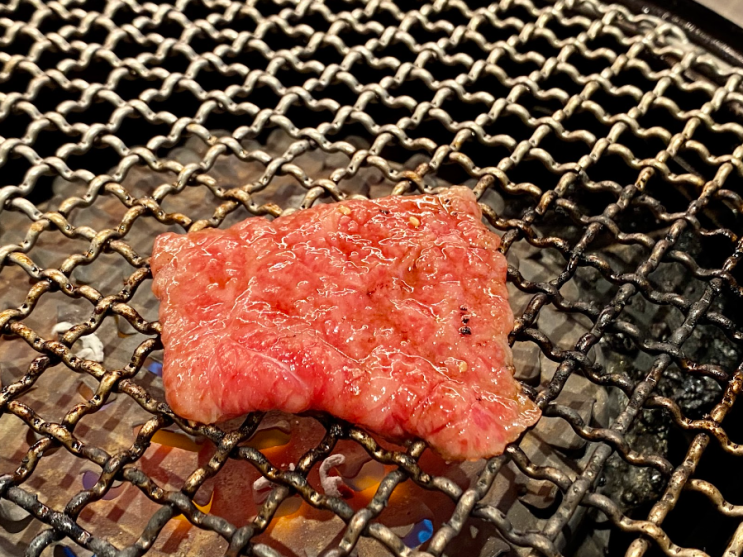  도쿄 현지인 야끼니꾸 맛집 롯폰기 힐즈점 아카미니쿠가토에서 즐긴 불고기 런치