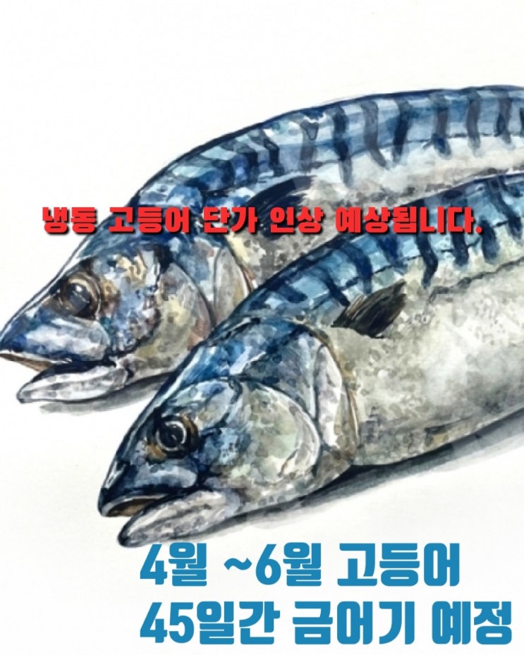  2023년도 4월~6월 최대45일 금어기 예상합니다.
