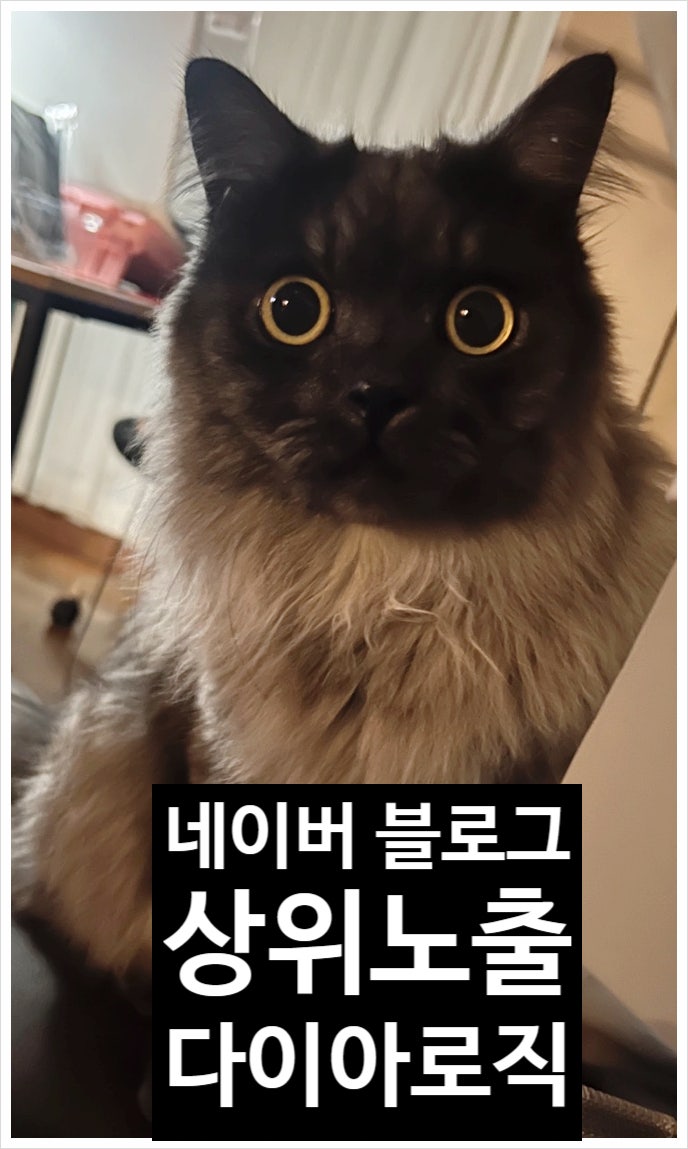  네이버 블로그 상위노출 다이아 로직을 이해하여야