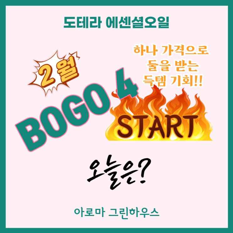  도테라 보고(BOGO) 넷째 날!! 오늘은?