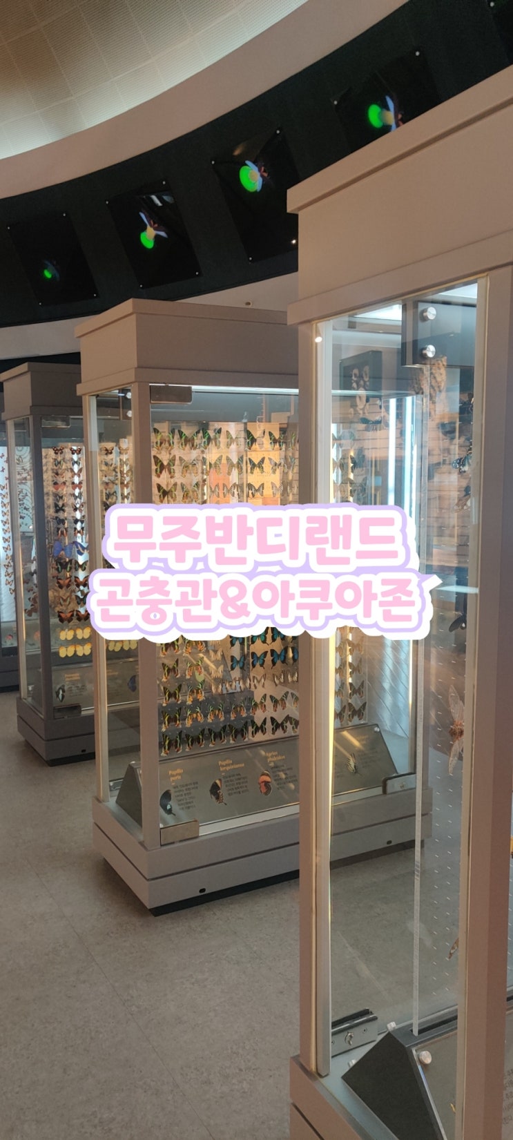  #무주#반디랜드-무주곤충박물관/아쿠아존/아이와함께강추!!