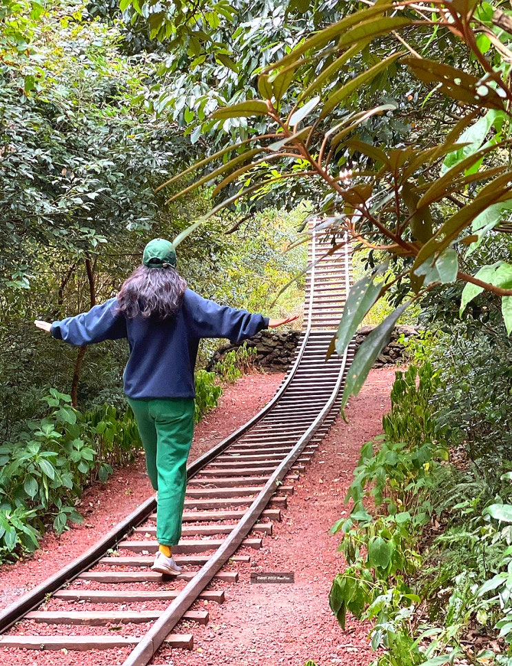  제주시 가볼만한곳 동화 속 작은 마을 제주 숲길 탐방로, 산양큰엉곶