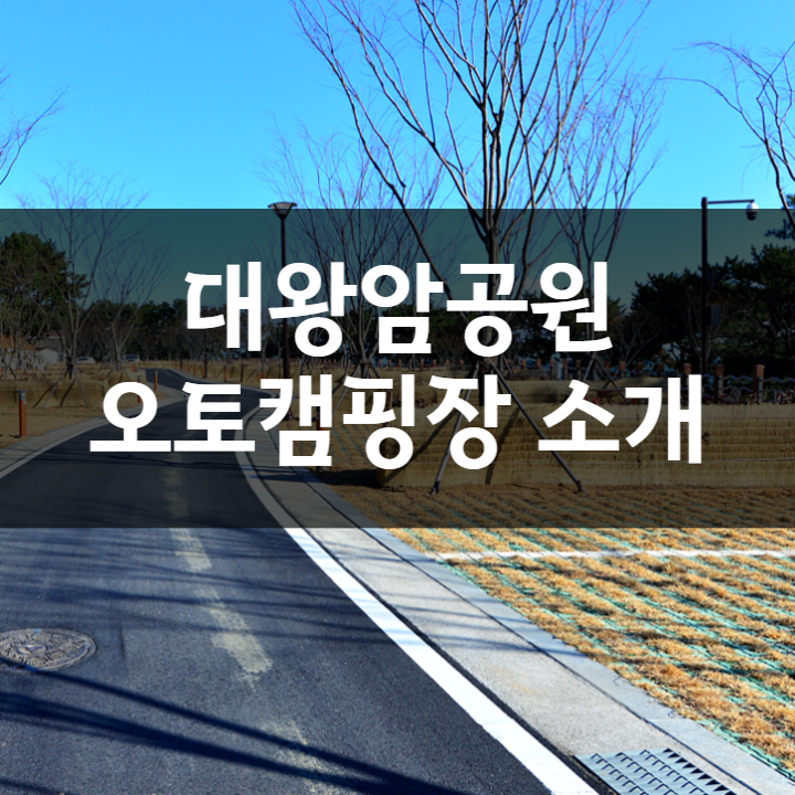  울산 바다 캠핑장 추천, 대왕암공원 오토캠핑장 예약 및 이용방법(출렁다리시간 및 길이)