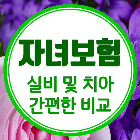  아동치아보험 추천 및 아동실비보험 금액 간편하게 비교할 수 있어요.