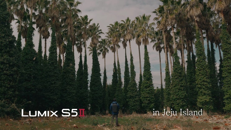  [LUMIX S5II 체험단] Episode #3: LUMIX S5II in Jeju Island