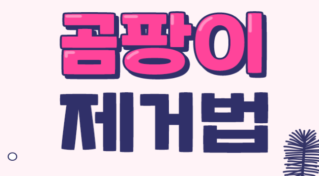 곰팡이 제거 효과적으로 확실하게 하는 방법