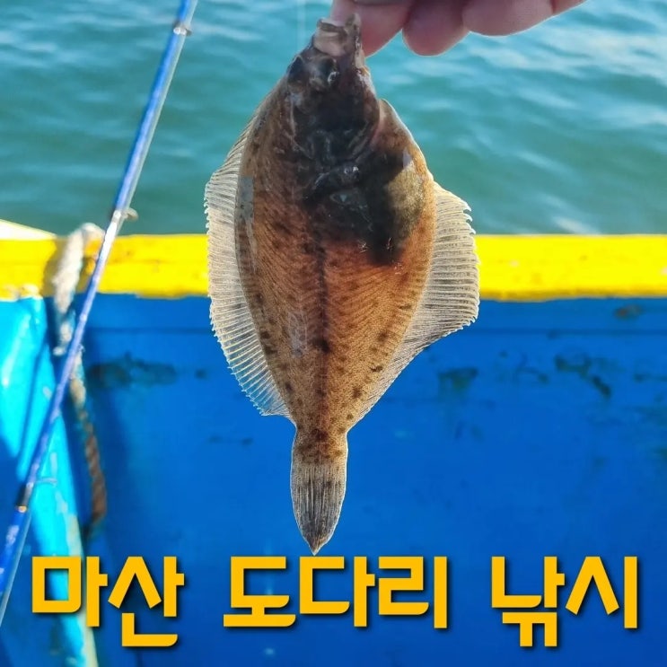  마산 원전항 도다리낚시 (덴마,뗏마낚시)전마선을 타보다!