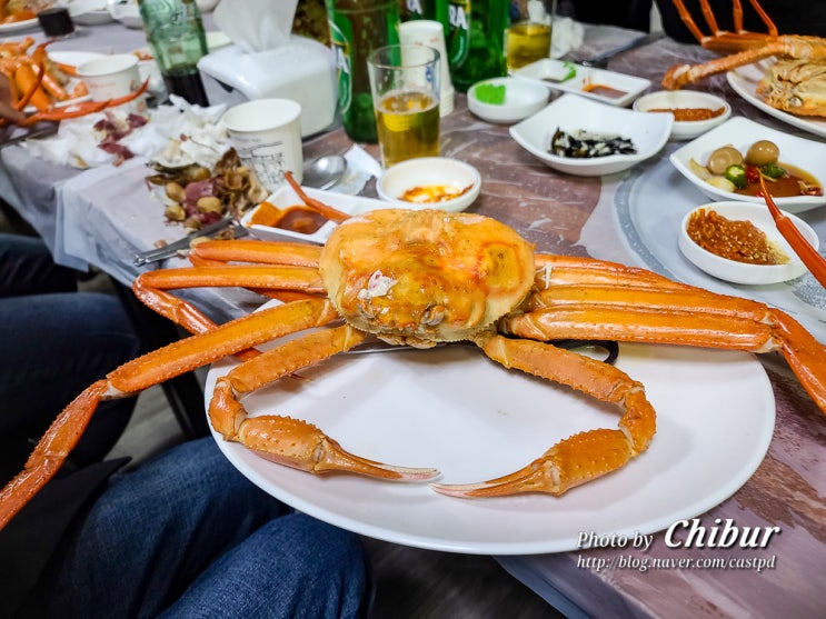  울진 후포항 맛집 살이 꽉찬 대게 왕돌회수산