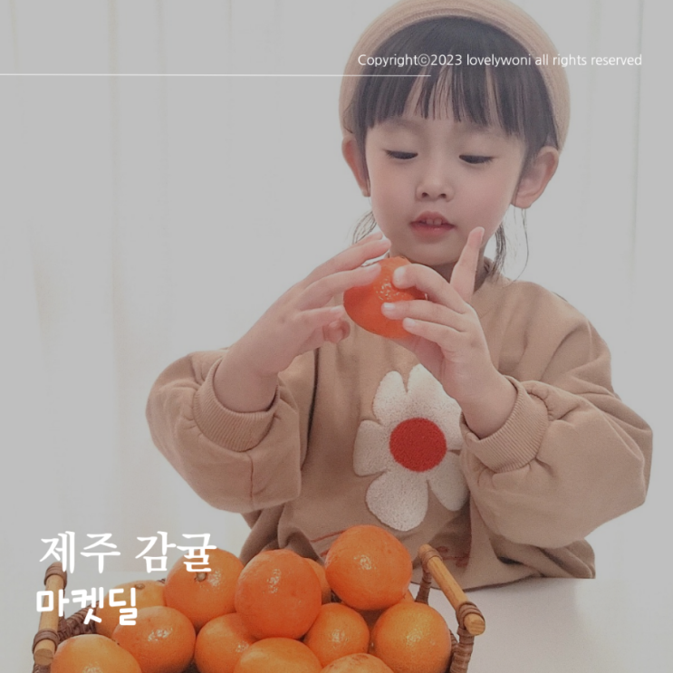  시지않고 당도높은 서귀포 감귤 마켓딜 배송
