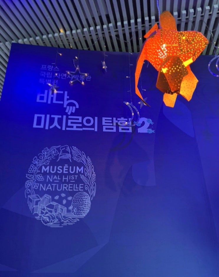 바다 미지로의탐험2: 영상,체험이 재미있는 아이랑 가면 좋은 헤이리마을 전시 추천