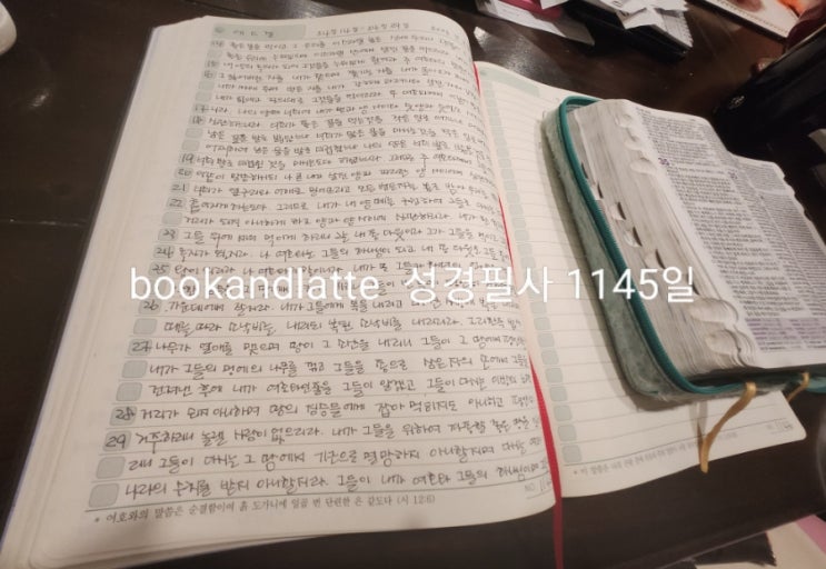  《필사1145일》 에스겔 34:14~34:29