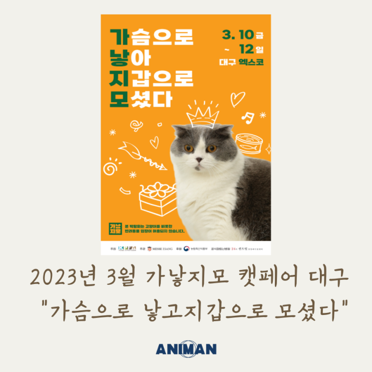  2023년 3월 대구 가낳지모캣페어 정보 / 대구 고양이박람회