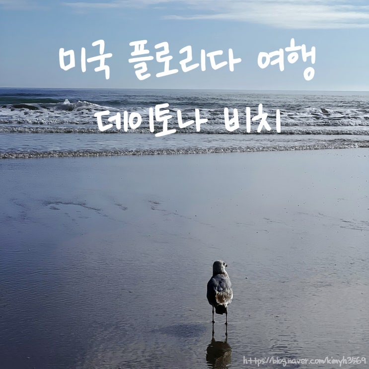  미국 플로리다 데이토나 비치 후기 미국 남부 플로리다 여행 추천 코스