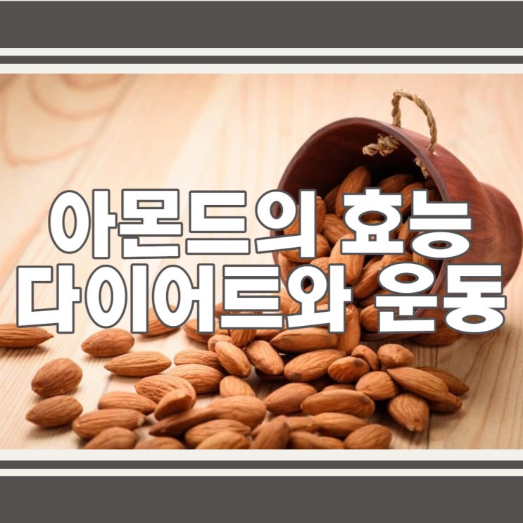  아몬드 효능, 하루 섭취량과 영양성분 칼로리 정보