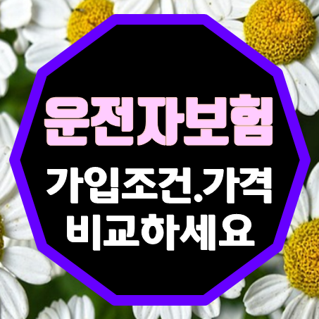  고령자운전자보험 가입부터 택시기사운전자보험 가격 비교까지 확실한 곳