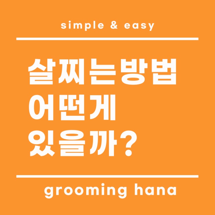  살찌는 방법 핵심 정리!