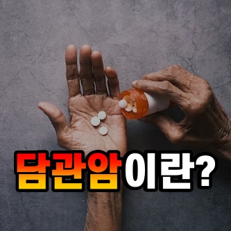  담관암이란? 증상 진단 치료