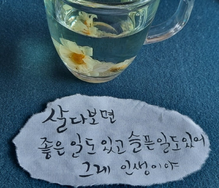  [힐링&마음 치유] 초보의 캘리그라피-살다보면 좋은일도 있고 슬픈 일도 있어