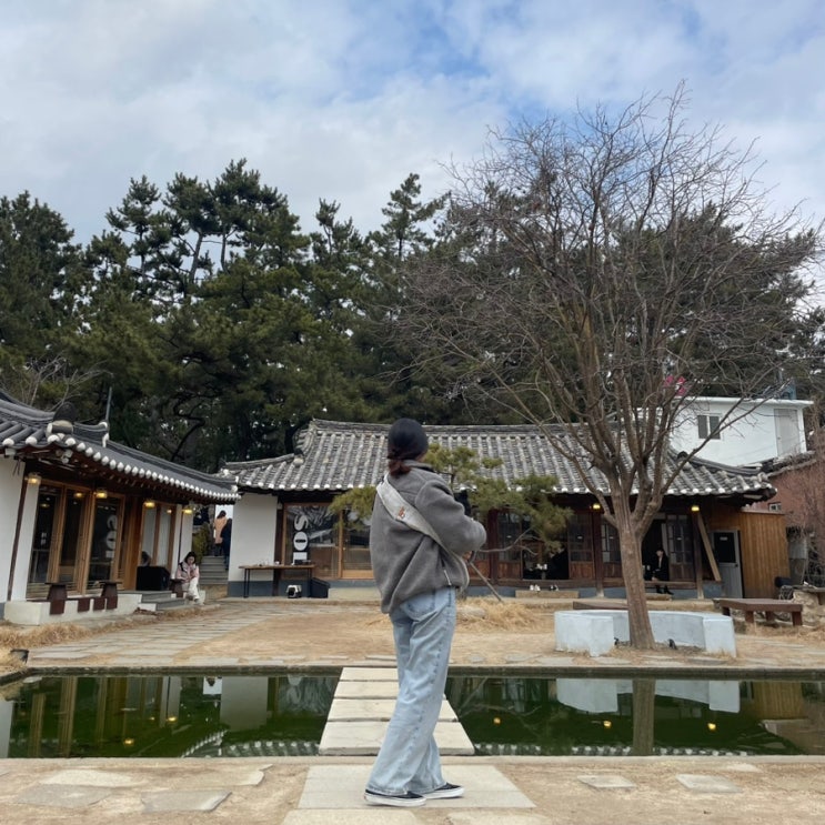  경주 & 포항 여행 I 반려견 동반 가능한 경주 황리단길 한옥카페 '카페솔'