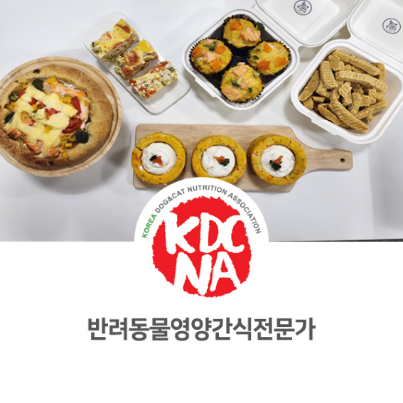  NO.1074 반려동물영양간식전문가 펫푸드 자격증 수업 후기