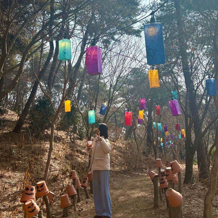  구경할게 많은 대형 수목원 장성 카페 루몽드917