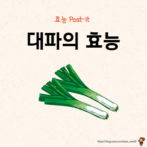  하얀 난로 총백, 대파의 효능과 섭취 시 주의사항