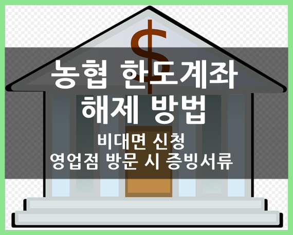 농협 한도계좌 해제 방법(ft.비대면 신청, 영업점 방문 시 필요 증빙서류)