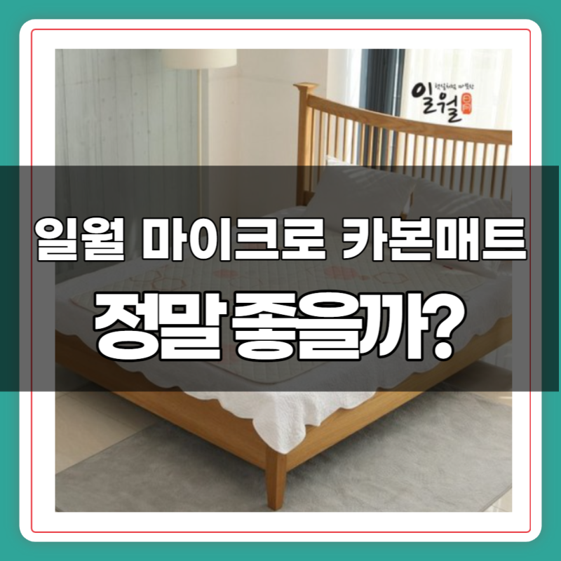 일월 마이크로 카본매트 정말 좋을까? (feat. 싸게 사는법)