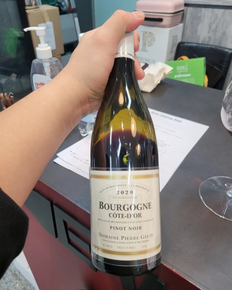  도멘 피에르 즐랑 꼬뜨 도르 루즈 2020 / Domaine Pierre Gelin, Bourgogne Pinot Noir 2020