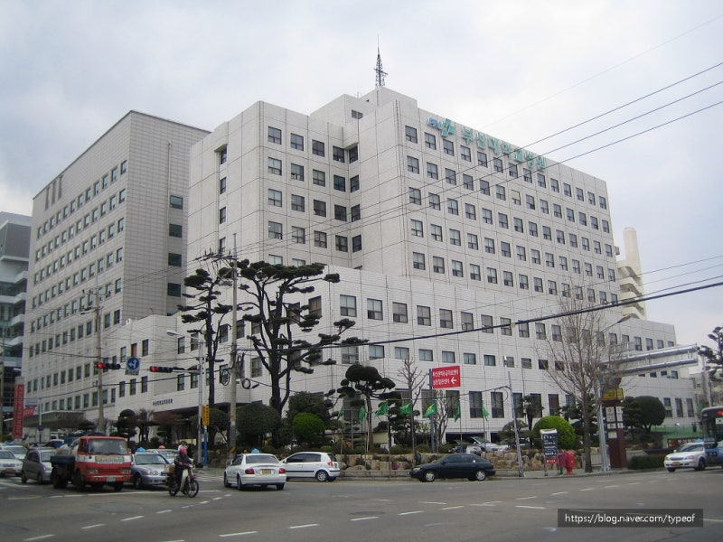 서구 부산대학병원 동아대병원 고신의료원 위생병원 : 네이버 블로그 서구 부산대학병원 동아대병원 고신의료원 위생병원 : 네이버 블로그