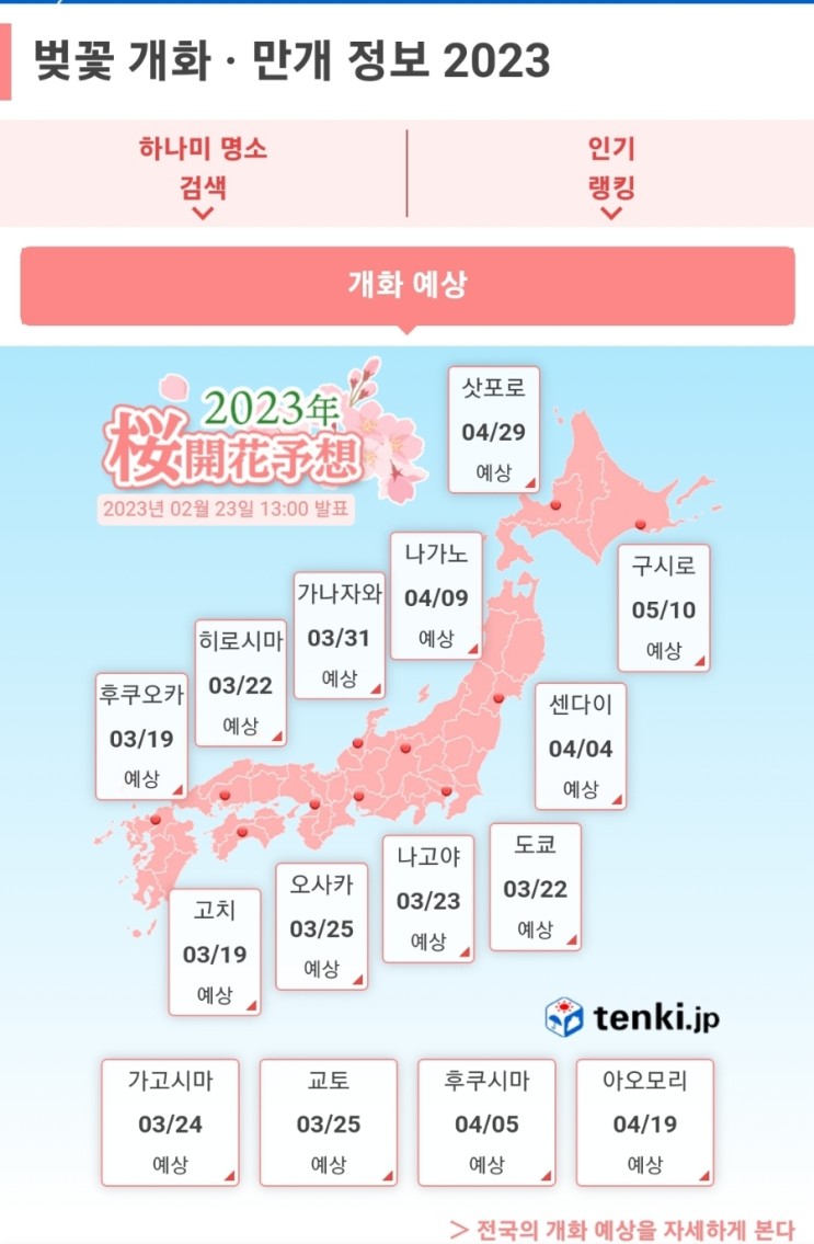 [정보] 2023년 일본 벚꽃 개화시기
