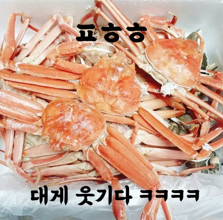  간만에 배꼽 빠져버린  웃긴 이야기