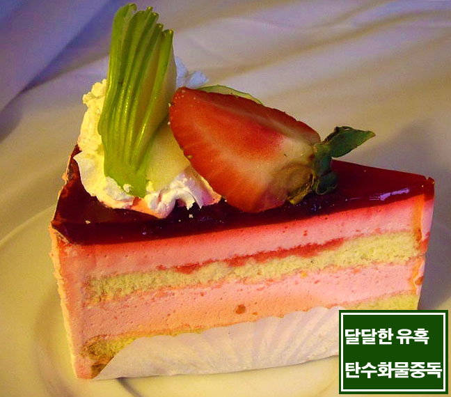  탄수화물 섭취방법, 탄수화물 중독증