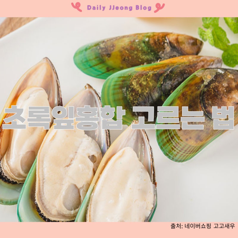 초록잎홍합 관절에 효과 있을까? ［초록잎홍합 영양제 선택 방법］