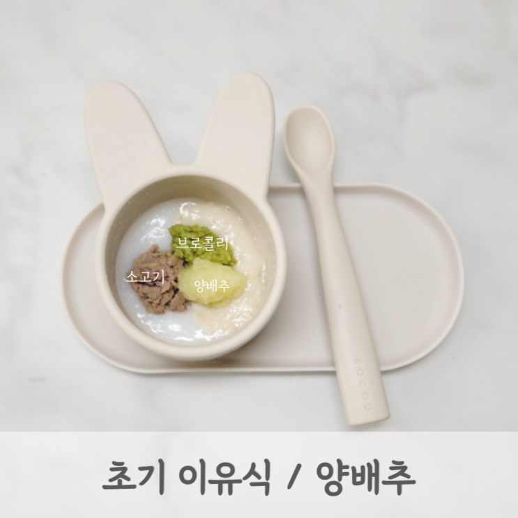 [초기이유식] 양배추미음 레시피 (양배추 큐브, 양배추 토핑, 베이비무브)
