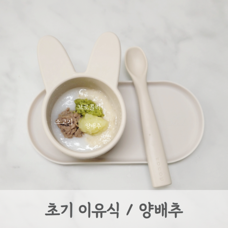 [초기이유식] 양배추미음 레시피 (양배추 큐브, 양배추 토핑, 베이비무브)