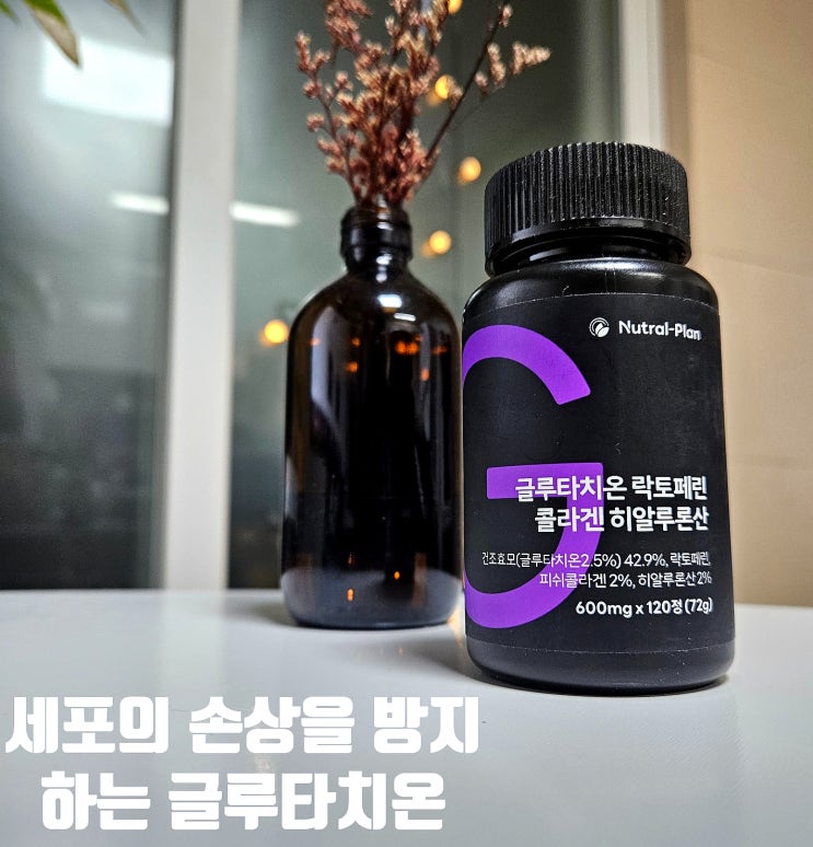 글루타치온 락토페린 세포의 손상을 방지하다