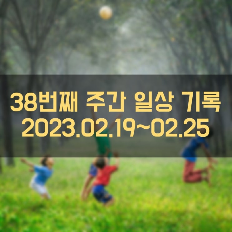 38. 주간 일상 기록 (2023년 2월 19일 ~ 2월 25일)