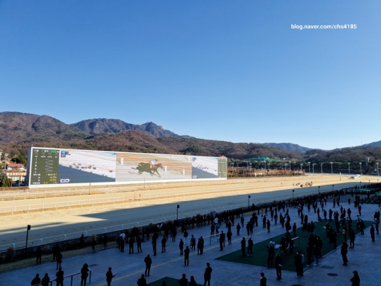  렛츠런파크로 바뀐 경마공원 가서 경주마 구경하고 왔어요