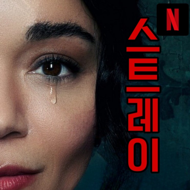 스트레이 넷플릭스 영국 스릴러 영화 평점 및 후기