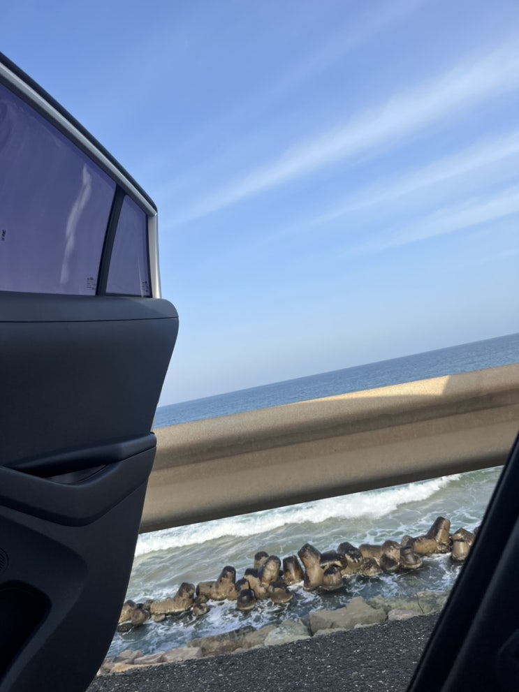  내가 할 수 있는건