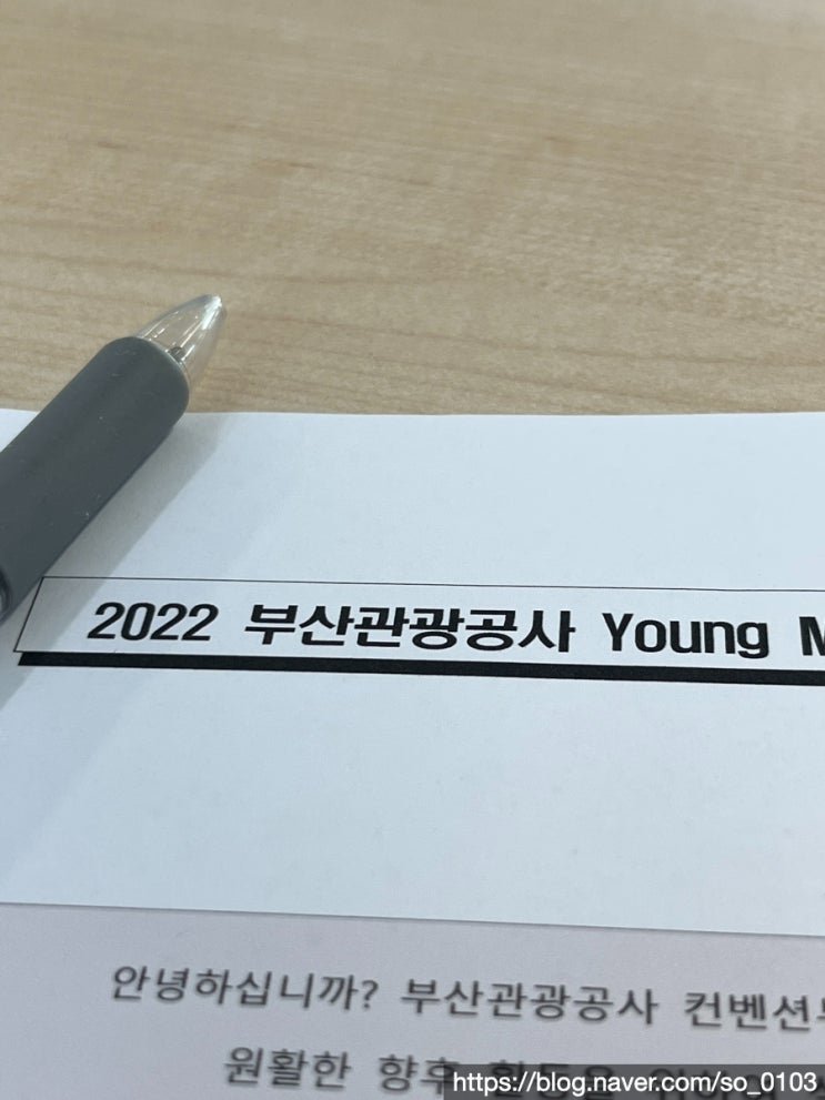  [영마이스단10기] 부산관광공사 영마단 10기 대외활동 기록