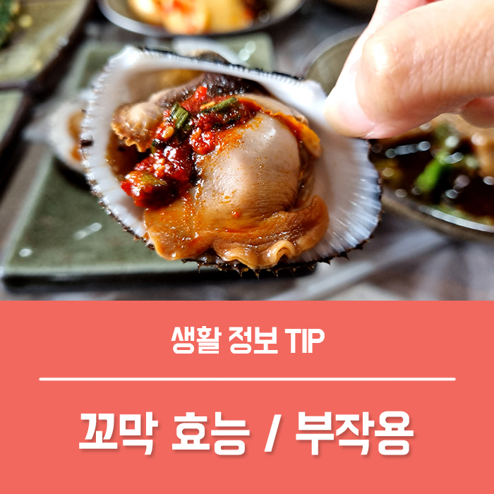  꼬막 효능 TOP6, 꼬막 칼로리 부작용까지