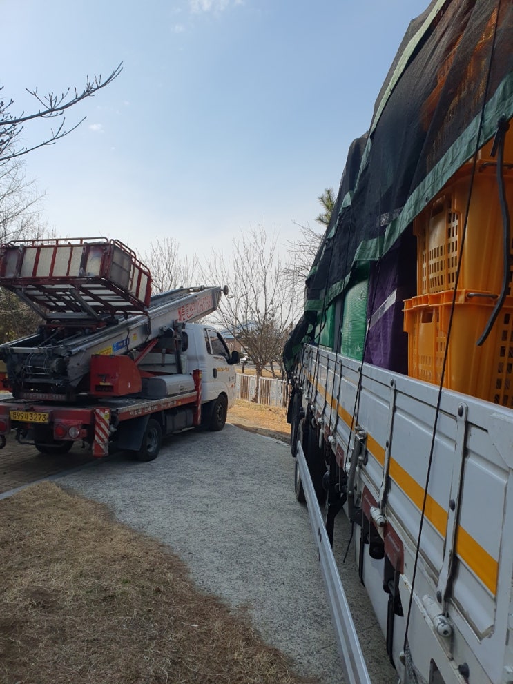 진주사다리차 사천 남해 고성 산청 함양 하동 의령 합천 진주시사다리차 진주사다리차 사천 남해 고성 산청 함양 하동 의령 합천 진주시사다리차