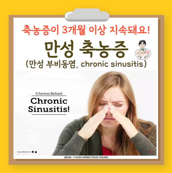  축농증(부비동염, sinusitis) (3) - 만성 부비동염(chronic sinusitis)
