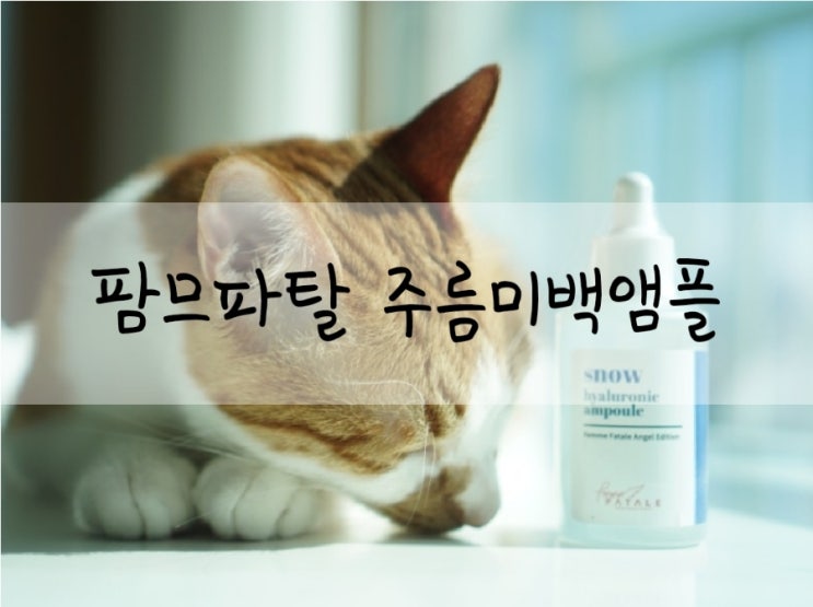  팜므파탈 스노우 히알 속건조앰플 겉광속촉앰플